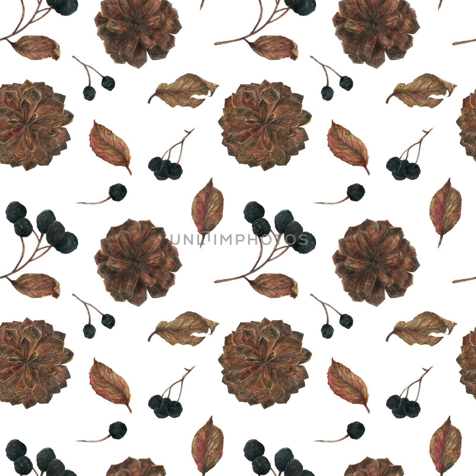 Aronia branches and pine cones for Christmas ornament, watercolor white seamless pattern with clipping path