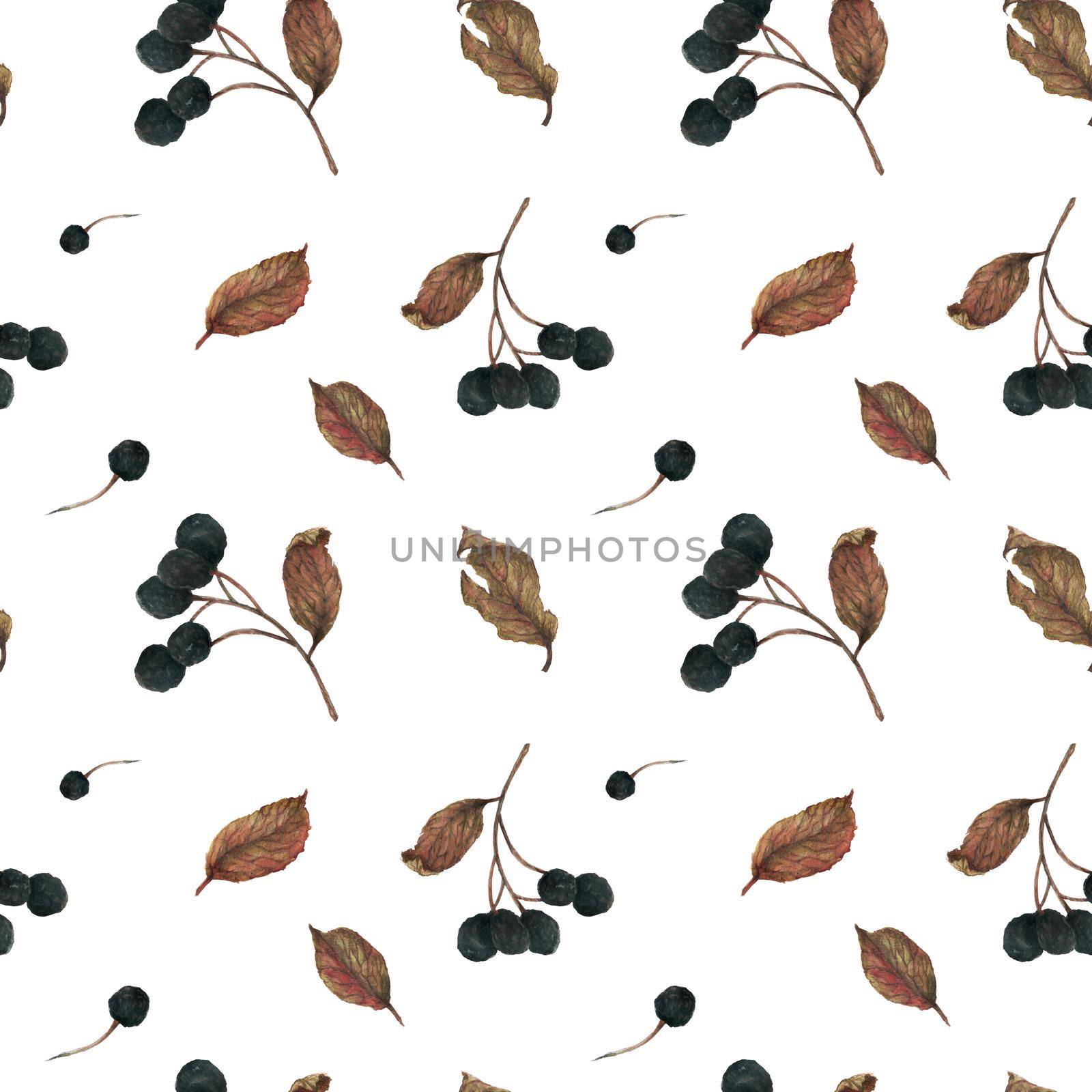 Aronia branches for New Year winter white ornament. Dried berries and leaves, watercolor seamless pattern with clipping path