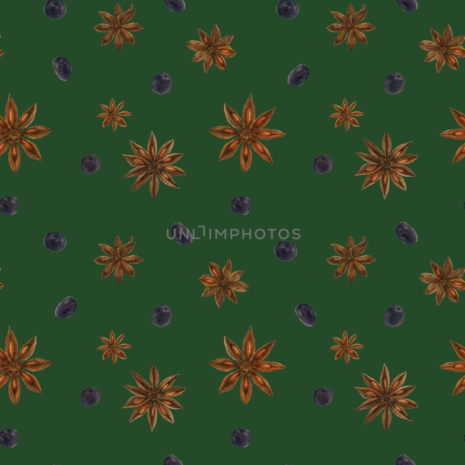Dried star anise and black berries watercolor green seamless pattern with clipping path