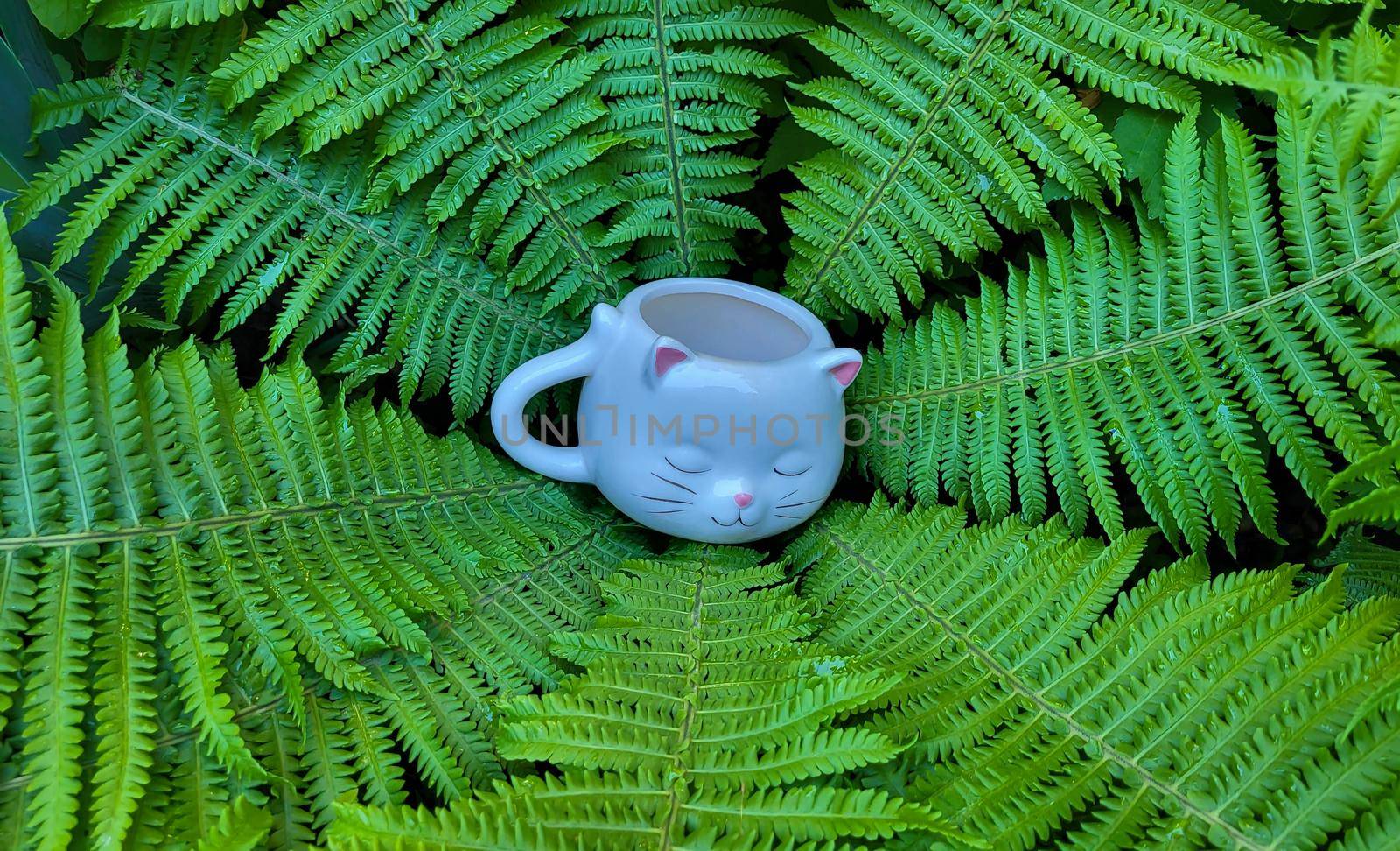 A cup in the shape of a cat's head in the center of a green background of a shuttlecock fern
