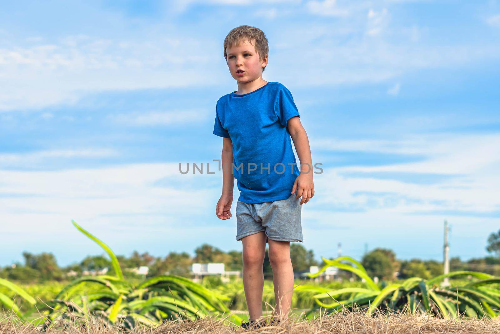 Front view Boy stand on haystack bales hay, wants ready to jump. Clear blue sky sun day. Outdoor kid children summer leisure activities. Concept happy childhood care countryside air nature.
