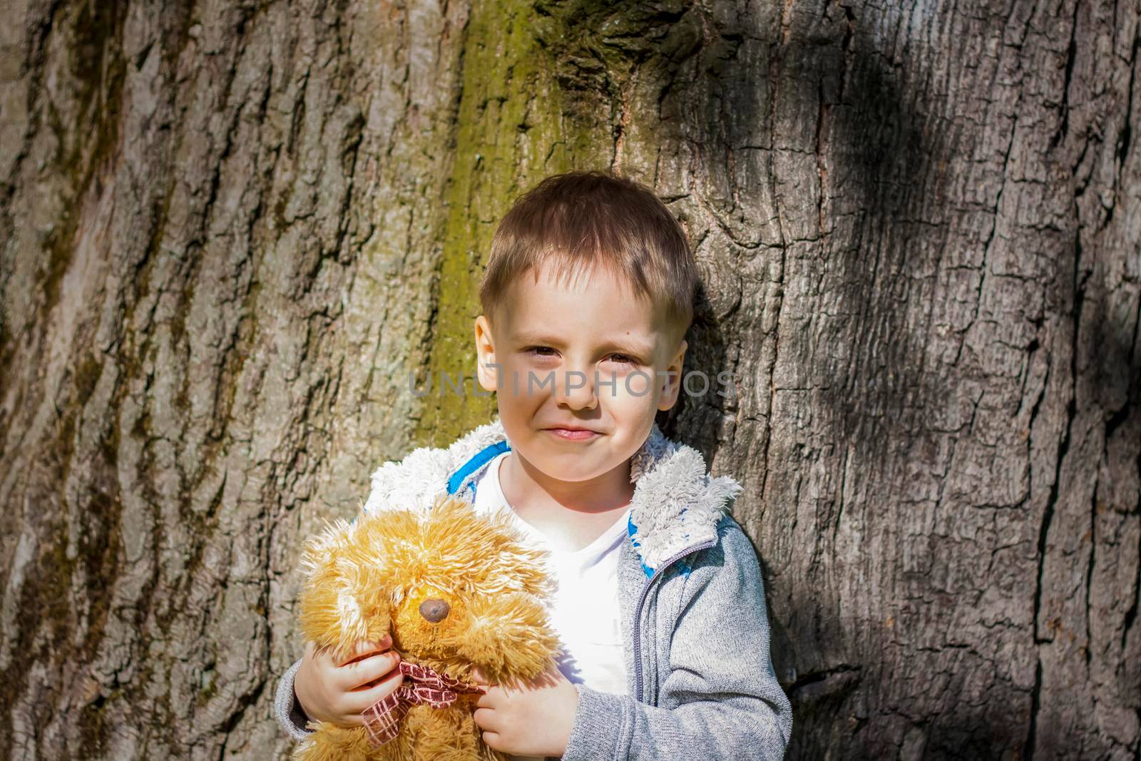 A cute boy is playing with a bear cub in the forest. The sun's rays envelop the space. A magical story of interactions for the book. Space for copying. Selective focus.