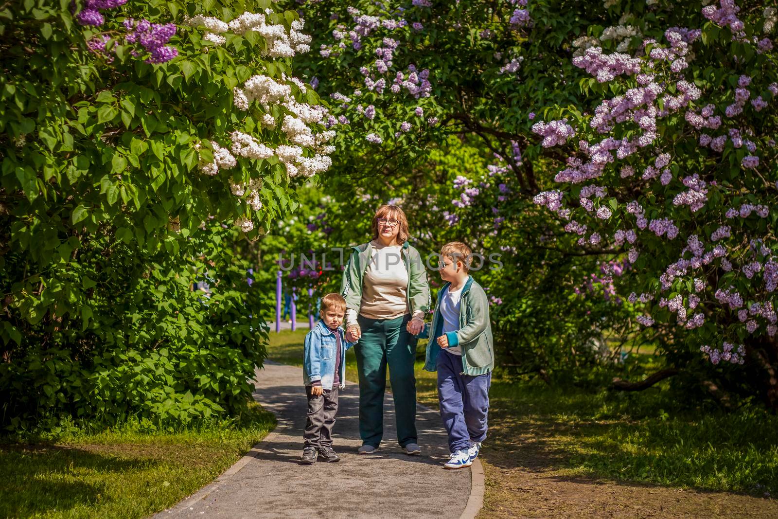A walk of a young grandmother with her grandchildren along an alley with lilac bushes.  Interactions. Selective focus.  by Alina_Lebed
