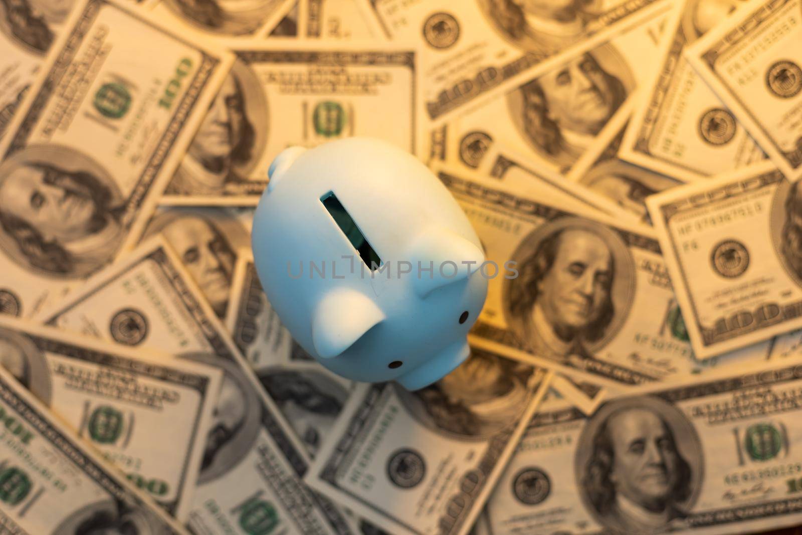 piggy bank on dollars, money by Andelov13