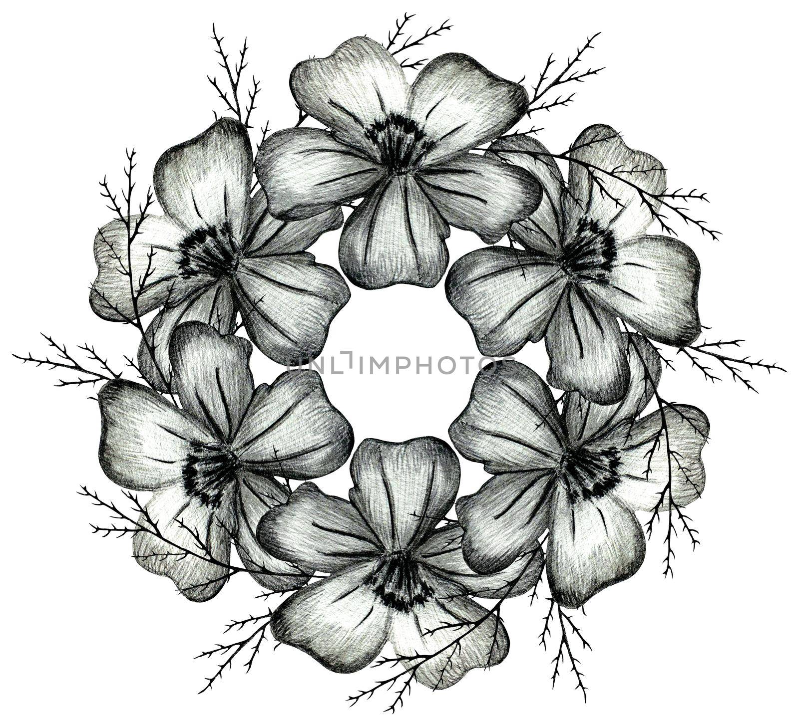 Black and White Hand Drawn Marigold Flower Round Composition Isolated on White Background. Marigold Flower Composition Drawn by Black Pencil.