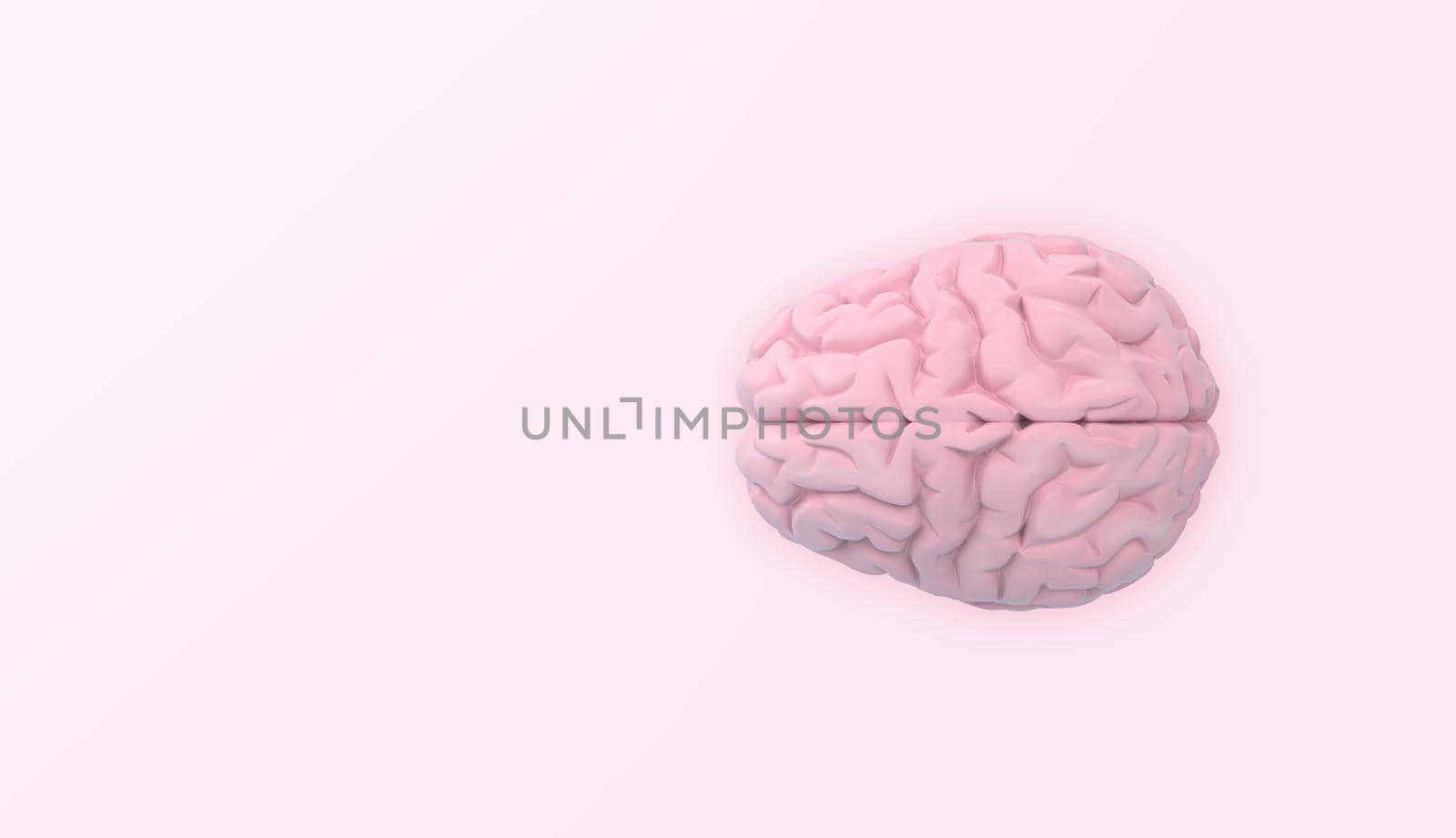 Brain in top view on pink background. Minimal backdrop. 3d rendering.