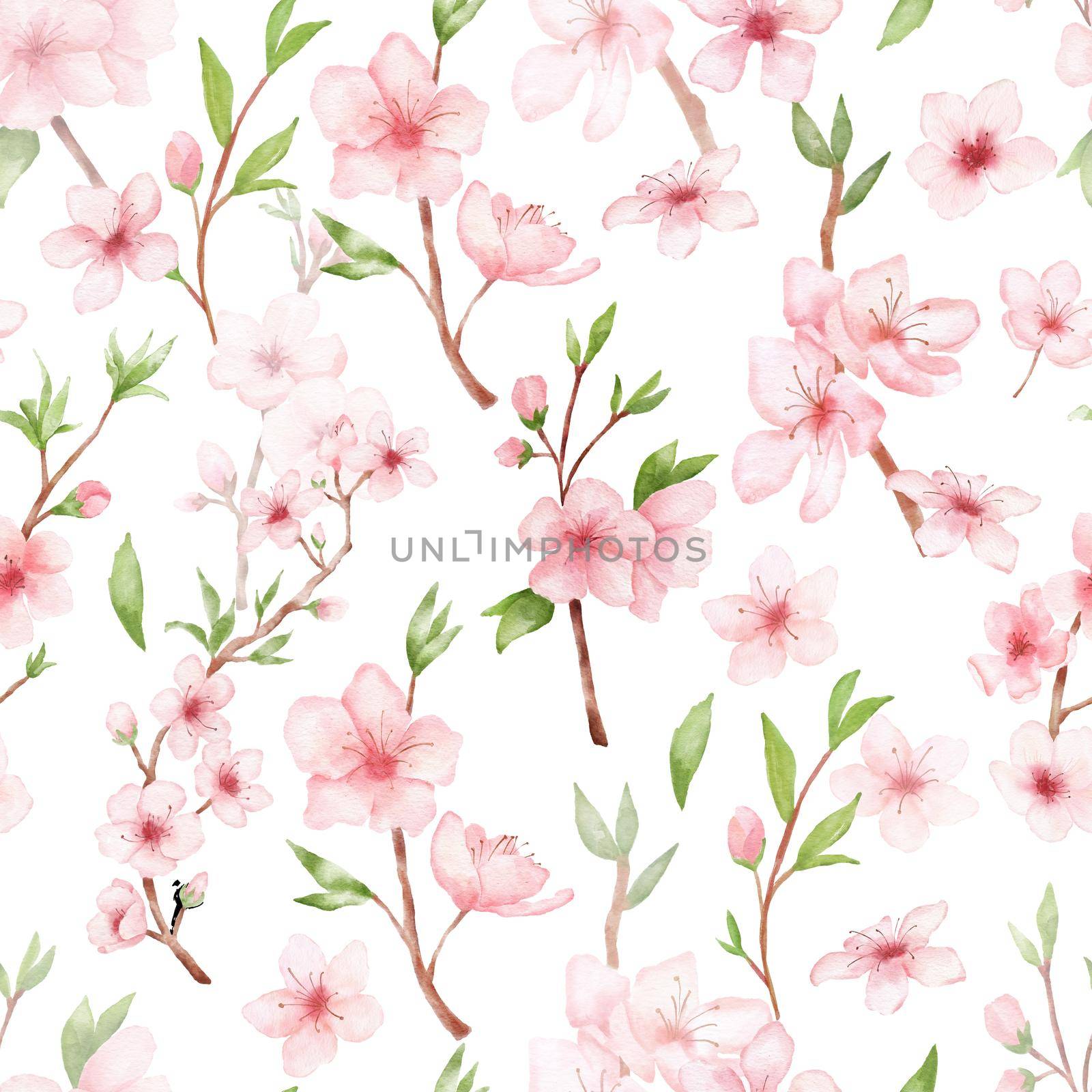 Branch of Cherry blossom watercolor seamless pattern on white. Japanese flowers. Floral background