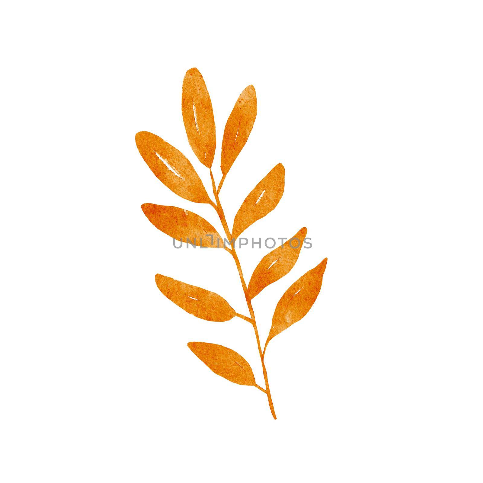 Watercolor rowan tree leaf isolated on white background. Autumn Drawing of plant. Fall illustration