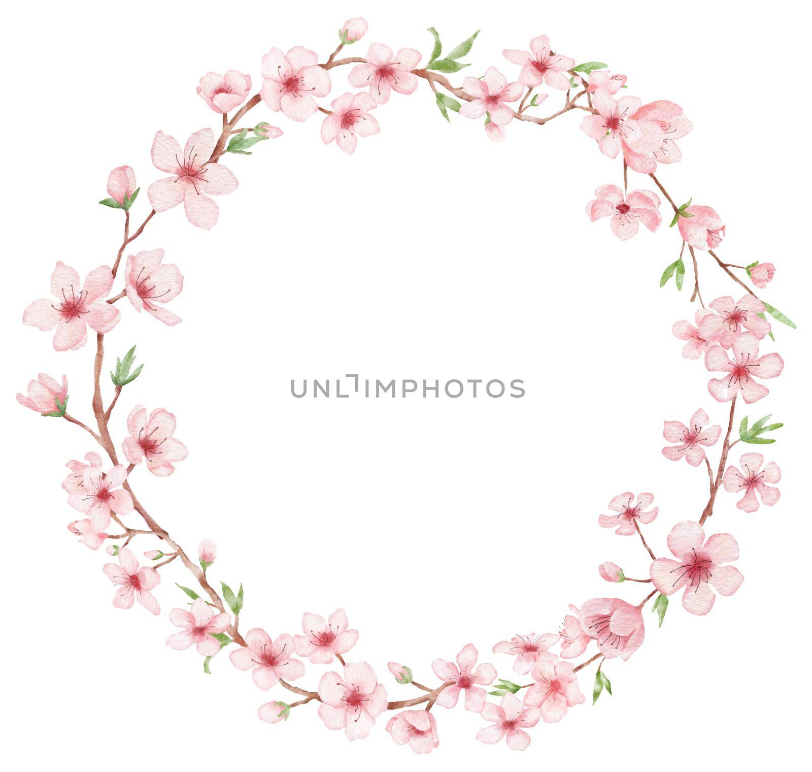 Round frame with Branch of Cherry blossom illustration. Watercolor painting sakura wreath isolated on white. Japanese flower by ElenaPlatova