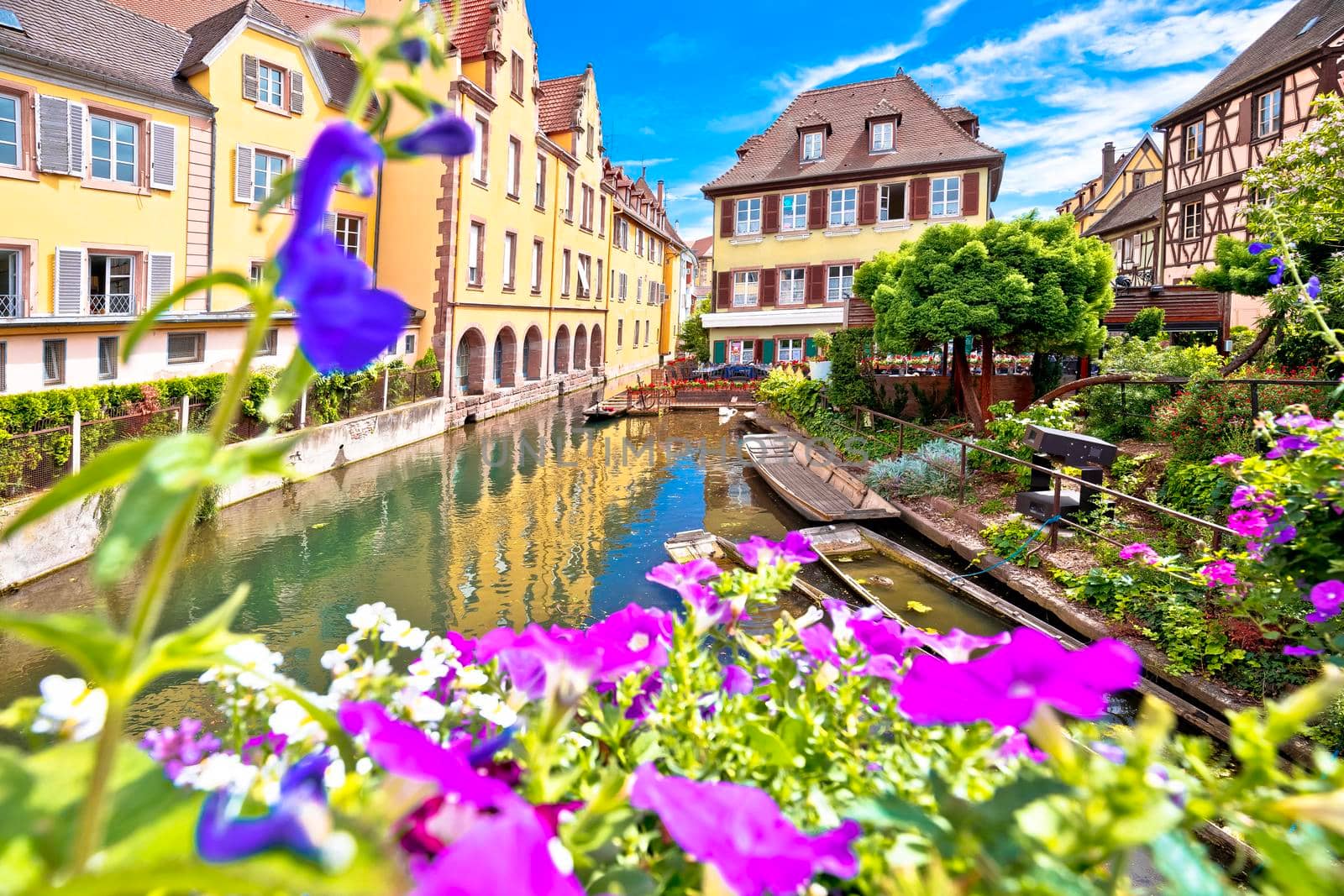 Town of Colmar little Venice colorful canal view, Alsace region of France