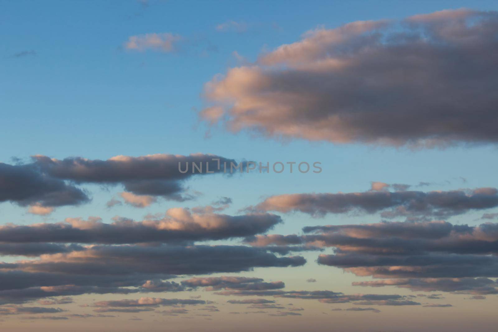Fluffy flat clouds against a blue sky during golden hour by tennesseewitney