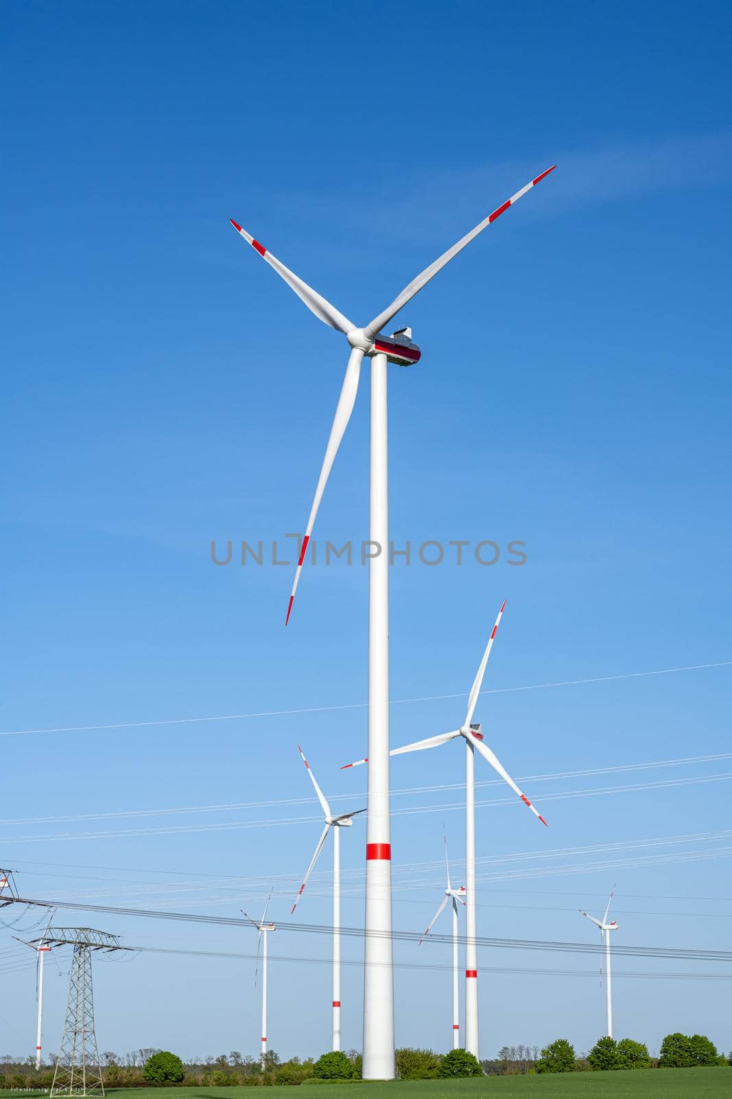 Wind turbines and power lines on a sunny day by elxeneize