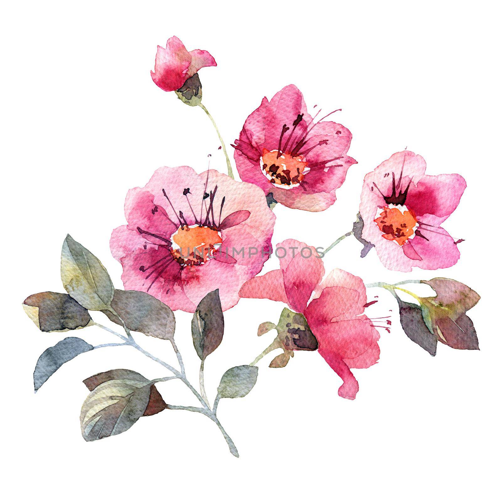 Watercolor illustration with pink flowers and leaves - beautiful bouquet, artistic painting