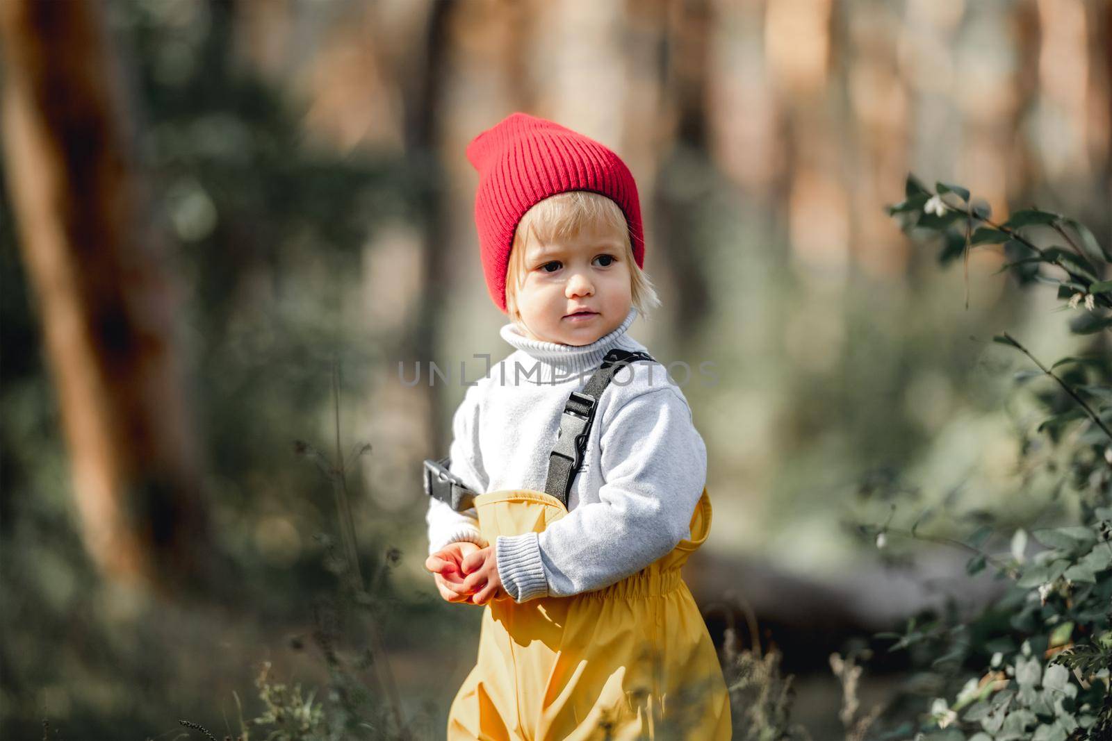 Little cute child girl portrait in the autumn forest. Cute female kid wearing red hat at nature outdoors