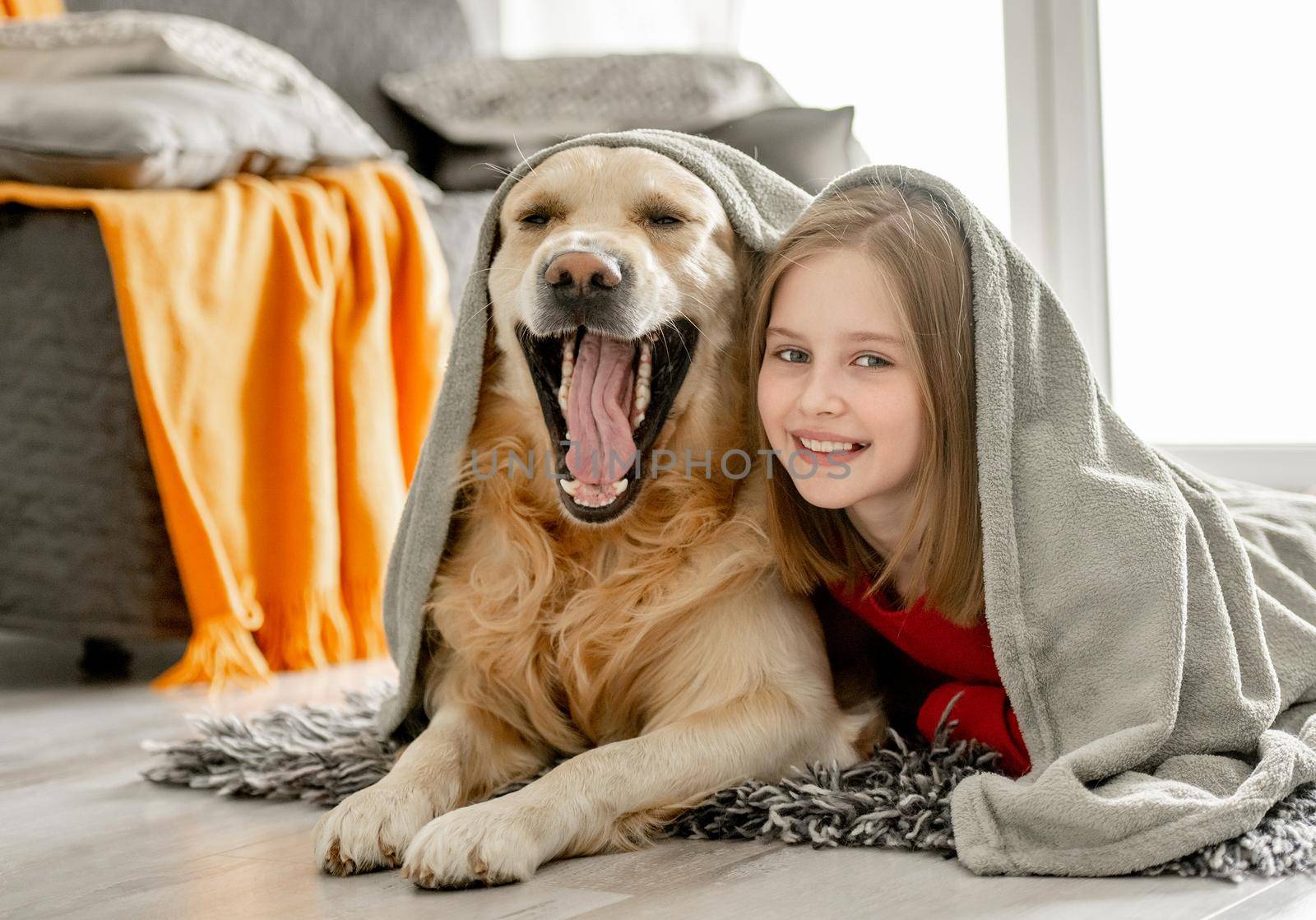 Cheerful child girl lies with golden retriever dog under plaid. Happy preteen girl with purebred doggy labrador spend time on floor.