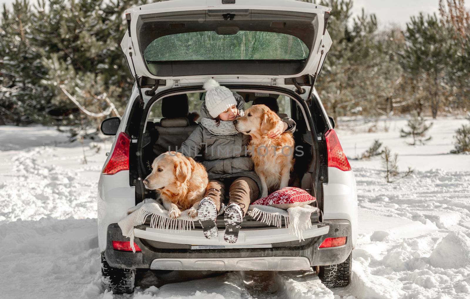 Girl sitting in car trunk hugging two golden retriever dogs in winter time. Young woman with doggy pet labradors in auto vehicle outdoors