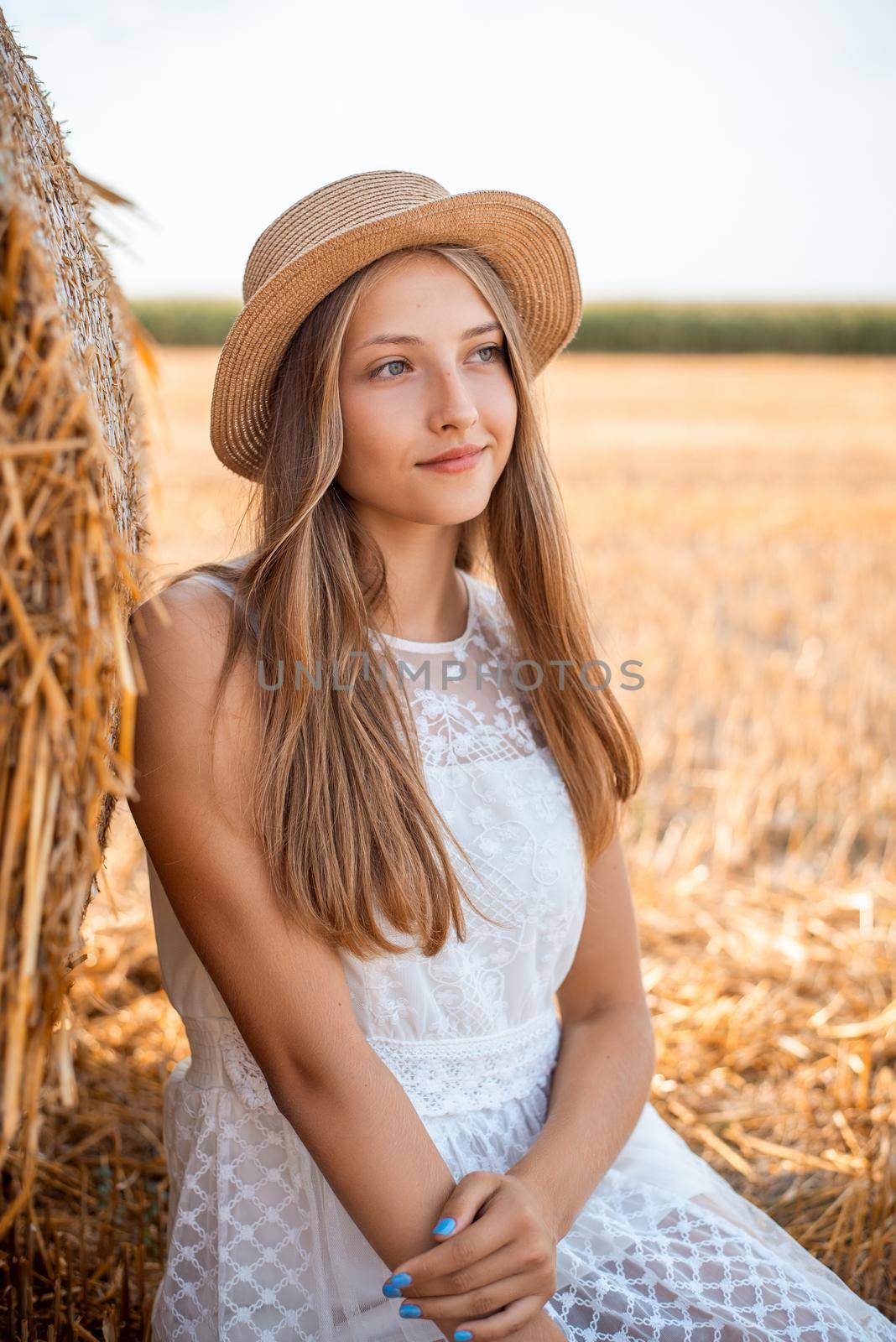 Romantic young girl posing outdoor in the agricultural field after the harvest by VitaliiPetrushenko