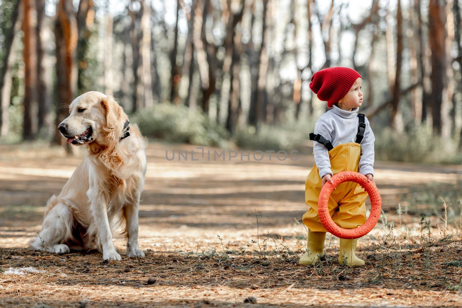 Little girl playing with golden retriever dog in the forest and holding rubber toy in her hands. Cute female kid with doggie pet at nature in the wood
