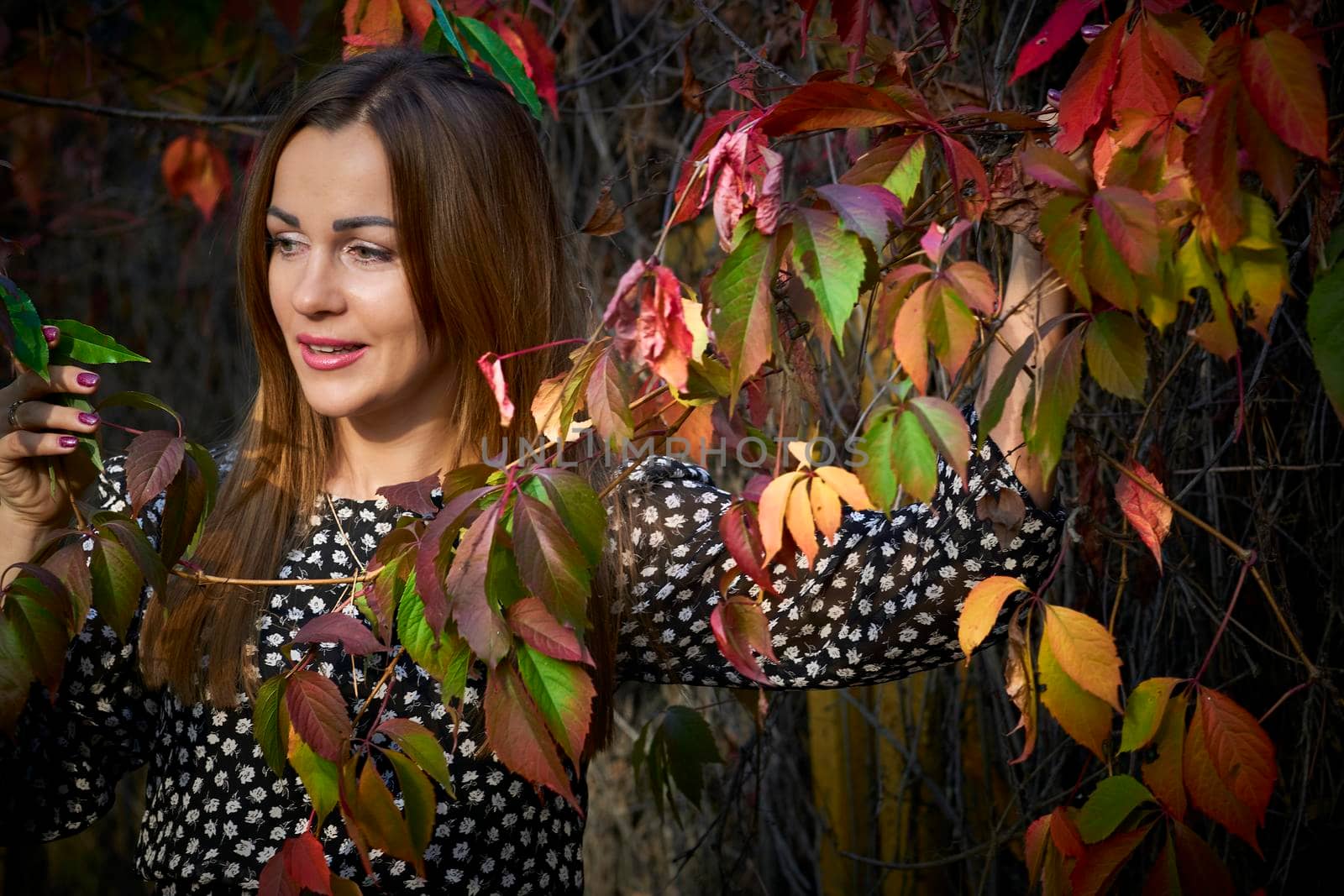 Wonderful pretty young woman among green-red elderberry leaves by jovani68