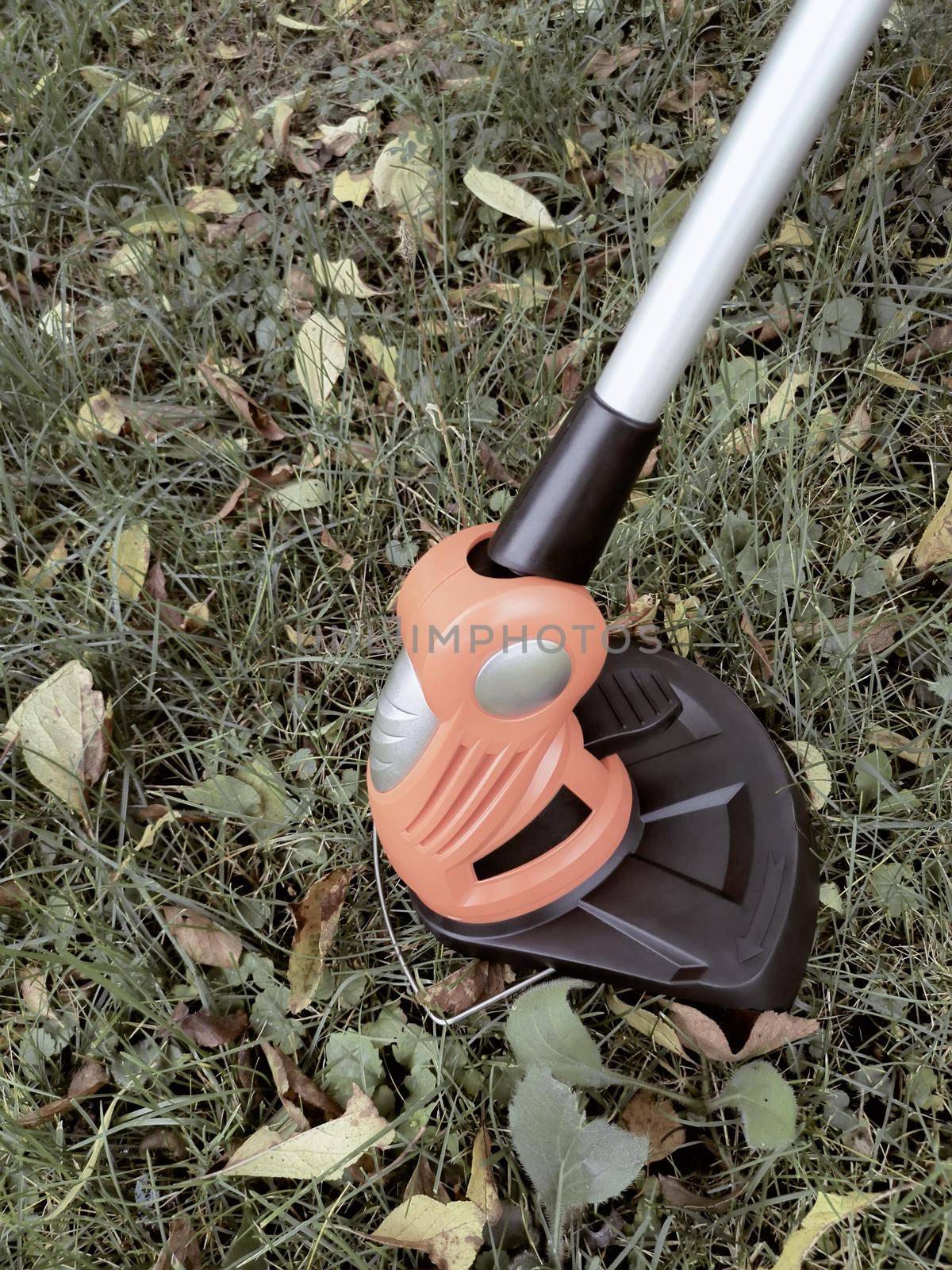 Household appliances: lawn mower-trimmer for cutting lawns on rechargeable batteries. Presented against a background of grass and leaves, front view, copy space