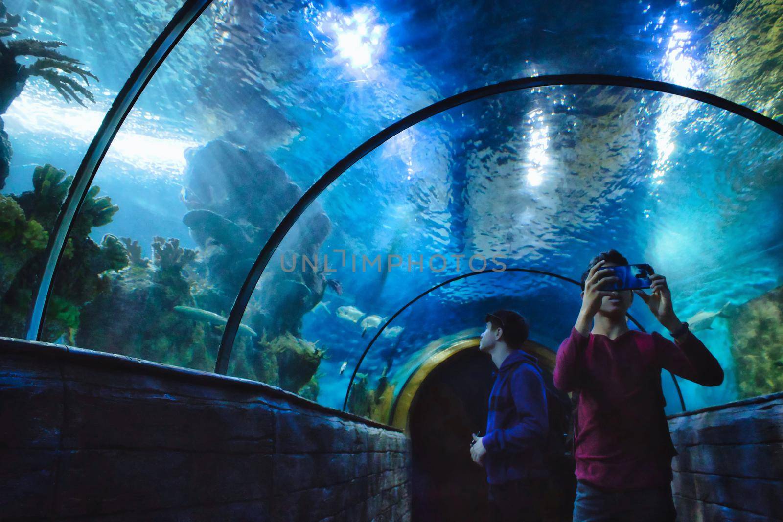 Qawra / Malta - November 22 2019: Teenagers taking photos from inside the tunnel at the National Aquarium, Malta