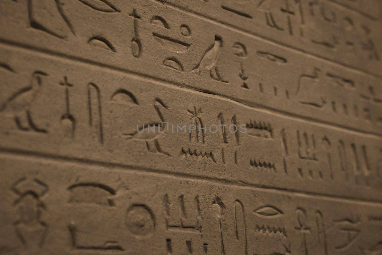 Close-up of ancient Egyptian hieroglyphics carved on a stone wall by tennesseewitney