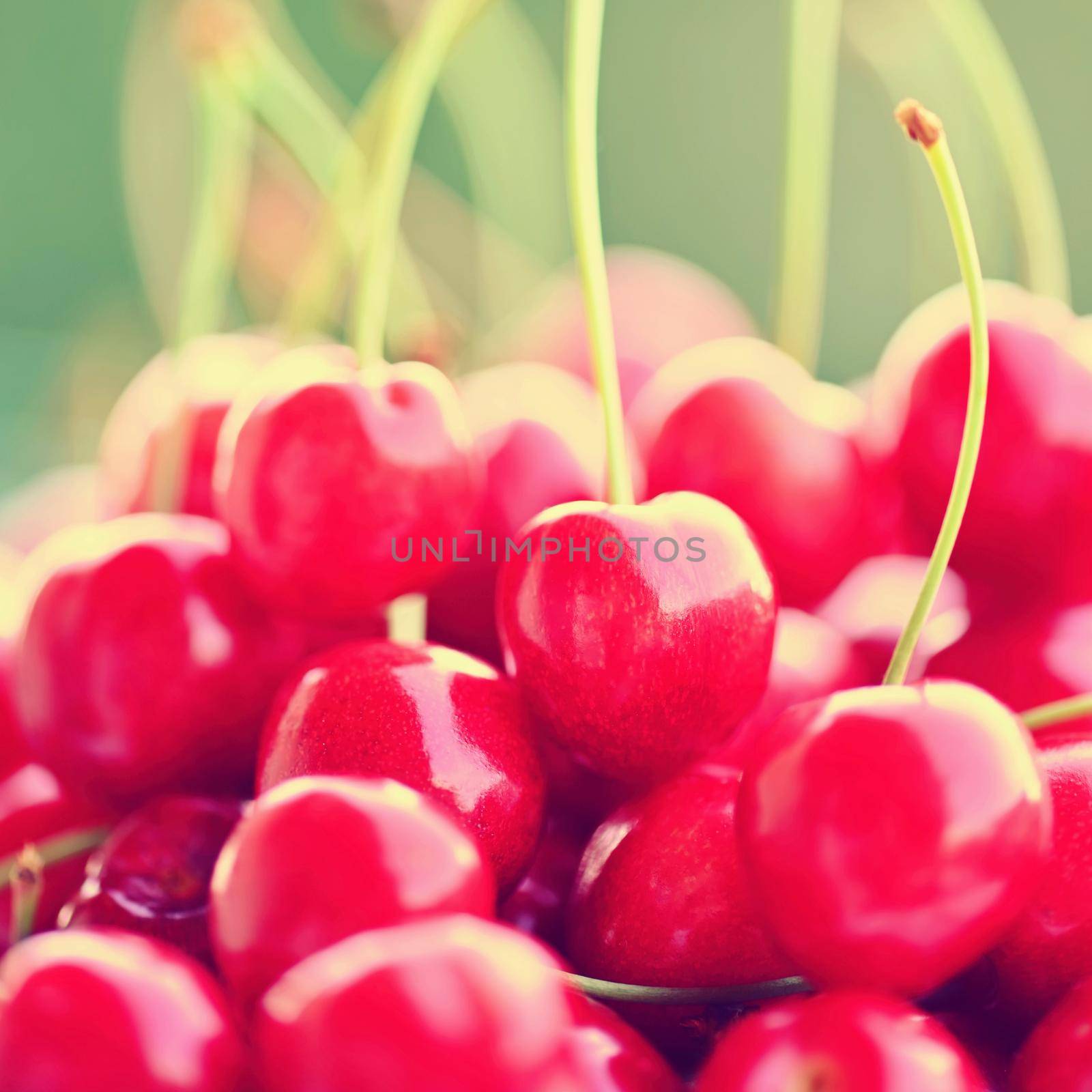 Beautiful red fresh cherries. Healthy food - fruits. Concept for organic and healthy lifestyle. by Montypeter