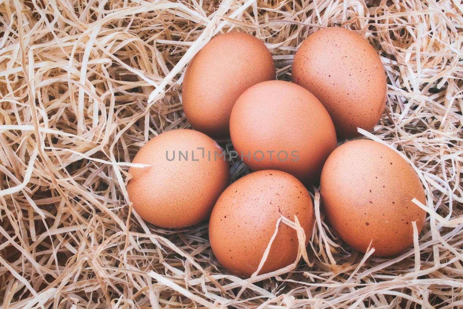 Half a dozen freshly laid organic eggs on straw background