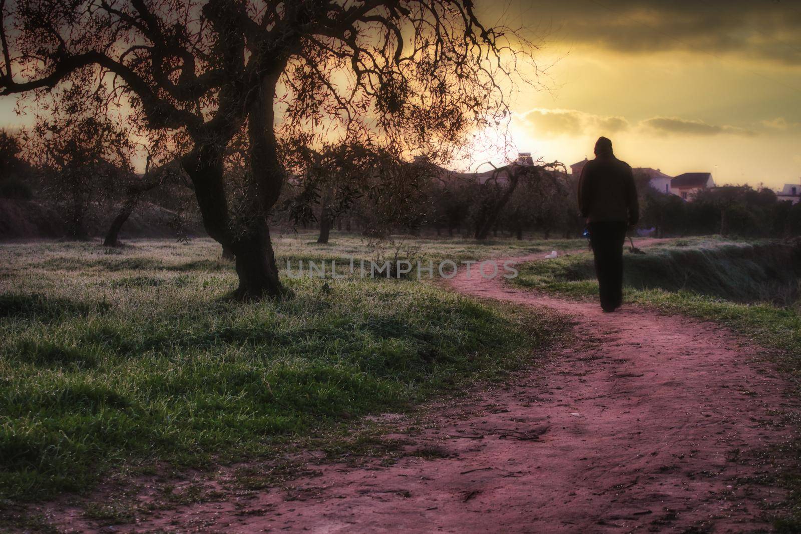 A man walking on an idylic country path with the setting sun in the distance