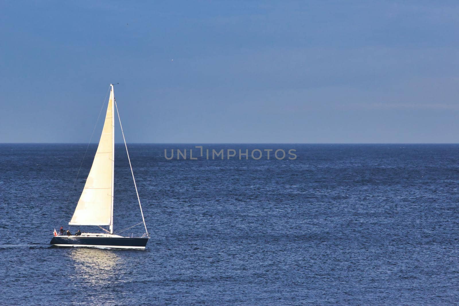 Sailboat sailing on the sea with a clear blue sky and the horizon in the background by tennesseewitney