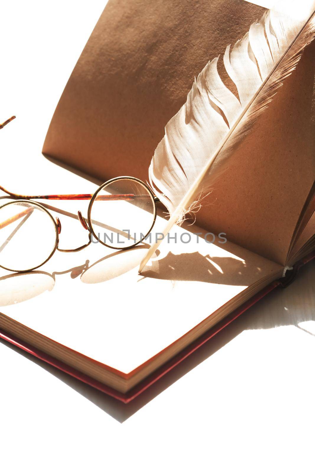 Still life with open book and quill pen under sun light