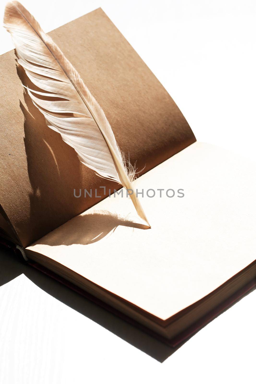 Still life with open book and quill pen under sun light