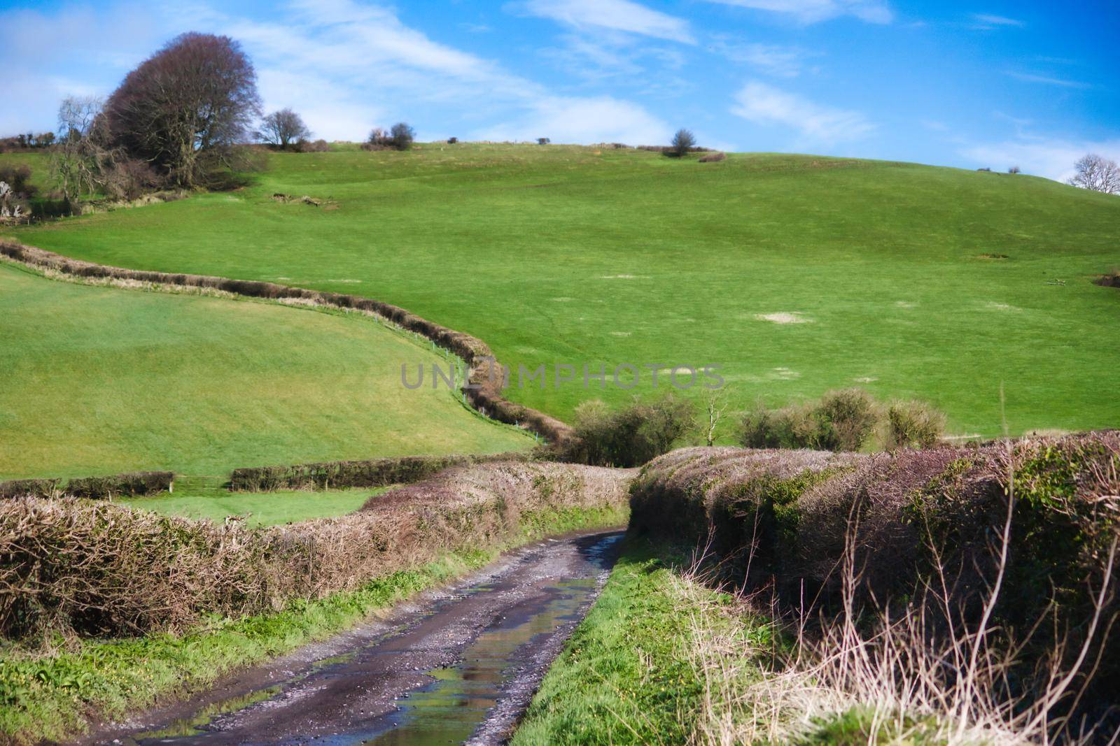 Scenic rolling hills in the English countryside with lush green grass and blue sky with no people