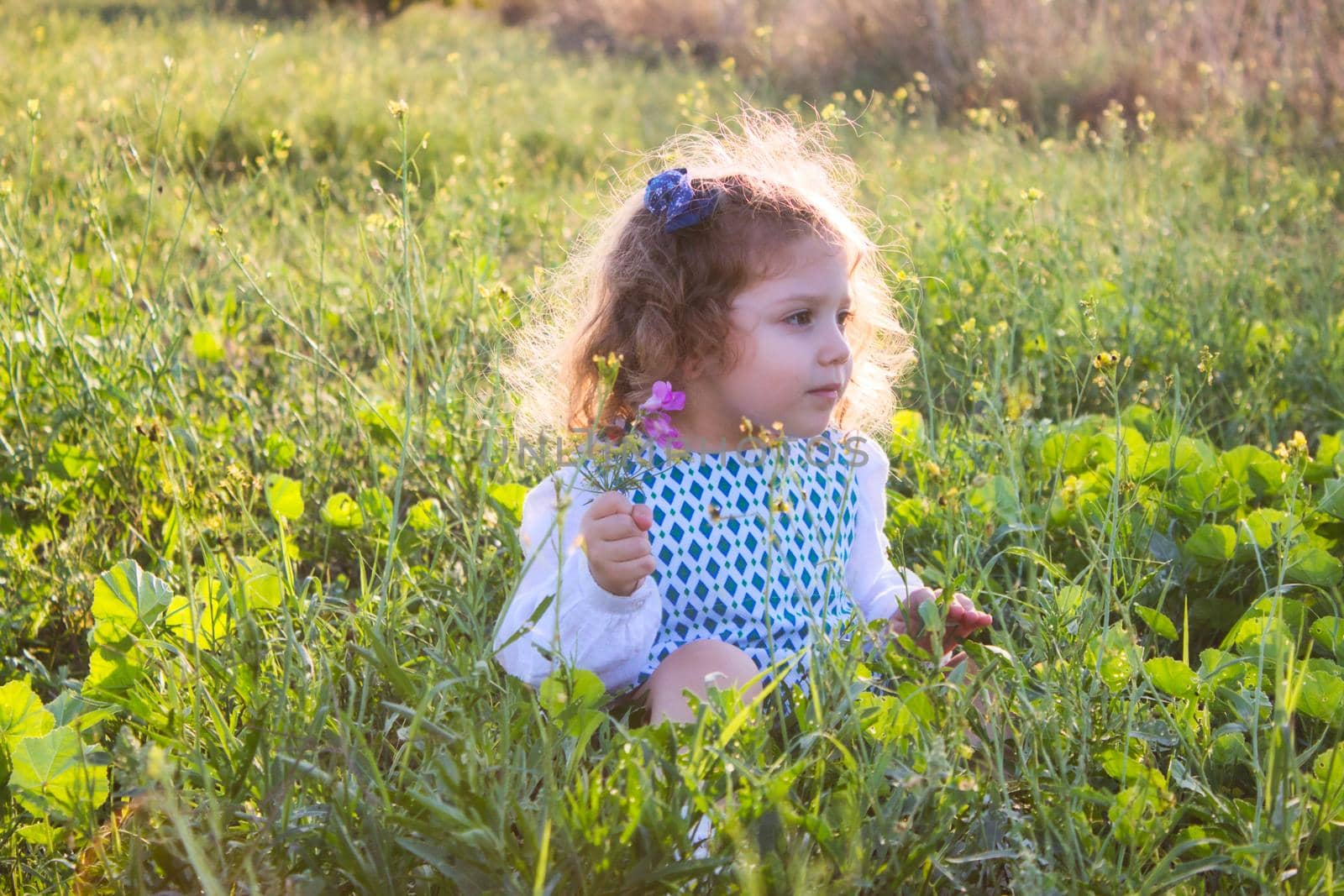 Beautiful blonde girl with curly hair sat in a green field holding flowers in her hand with the sun shining