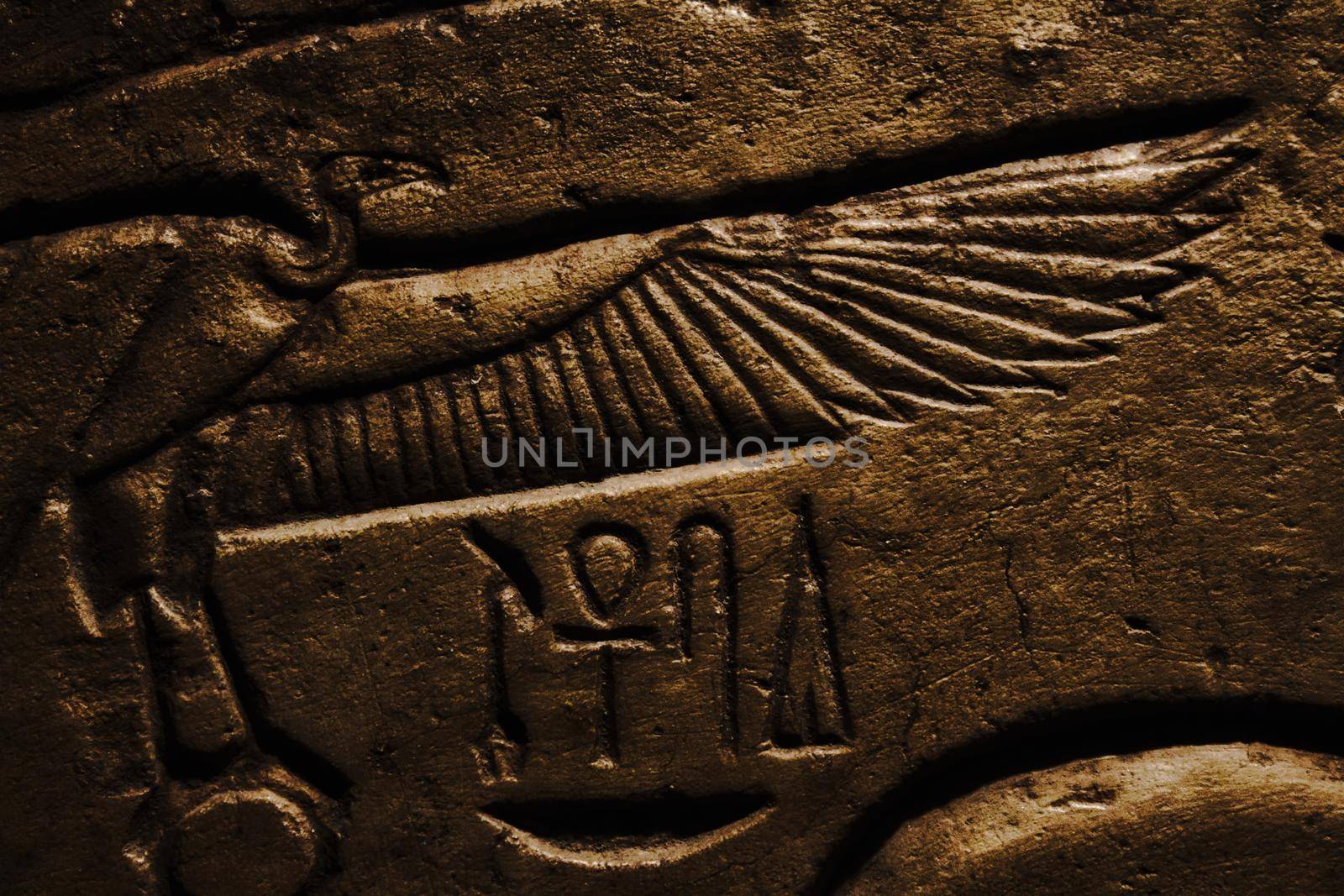 Egyptian hieroglyphics set in stone with symbols and a vulture