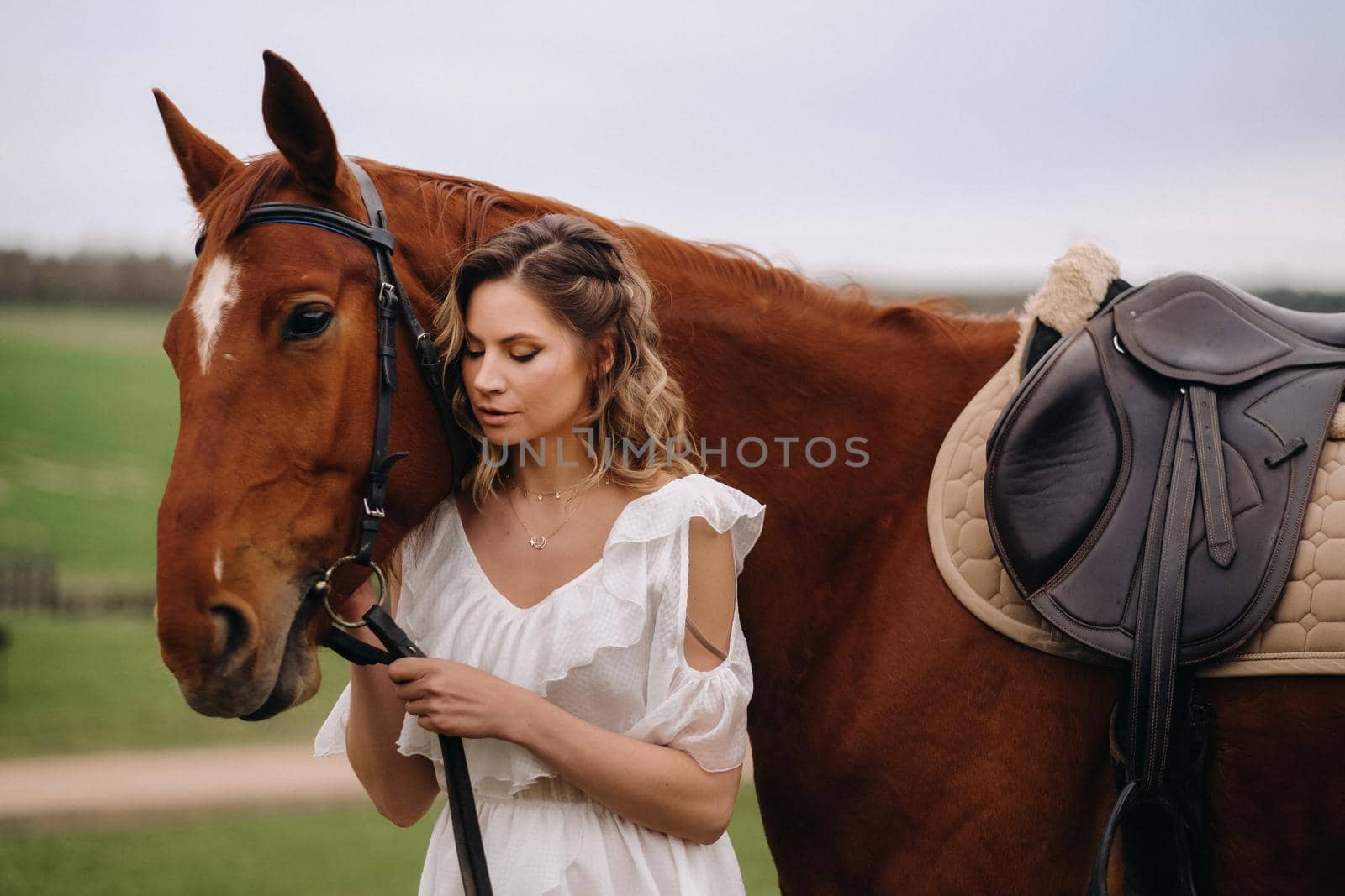 A girl in a white sundress stands next to a brown horse in a field in summer by Lobachad