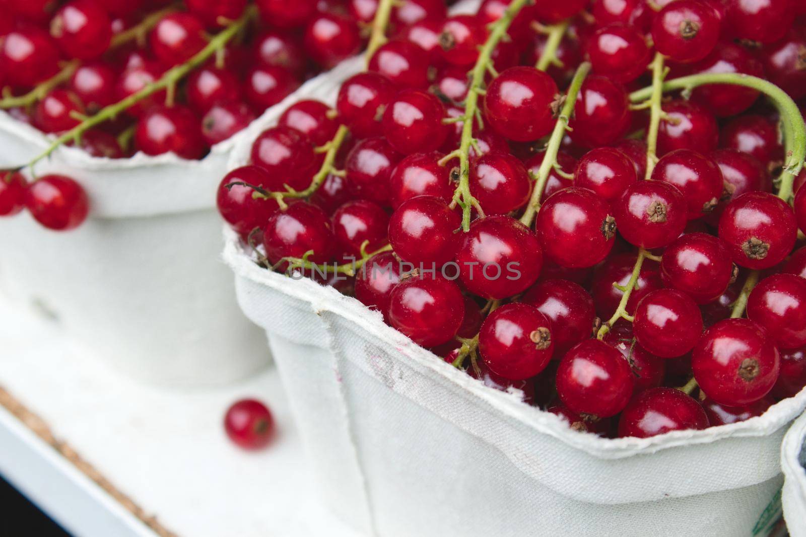 Close-up of a carton of cranberries on the stem at a food market by tennesseewitney