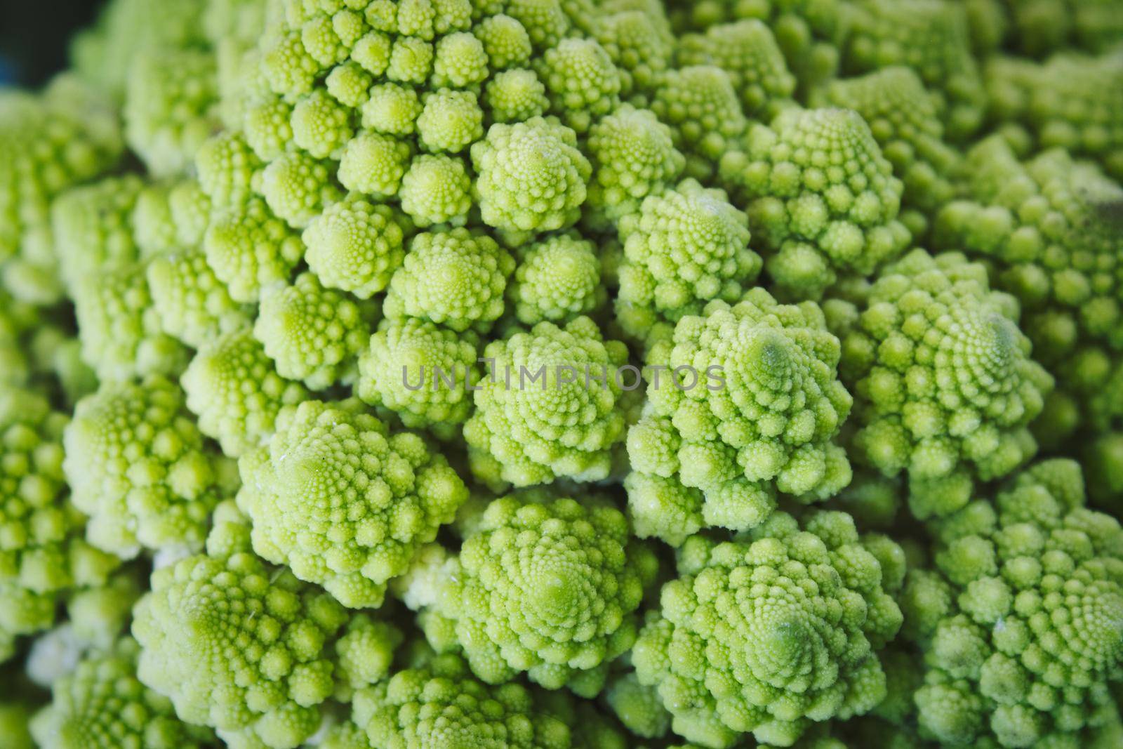 Close-up macro shot of fresh green Romanesco broccoli