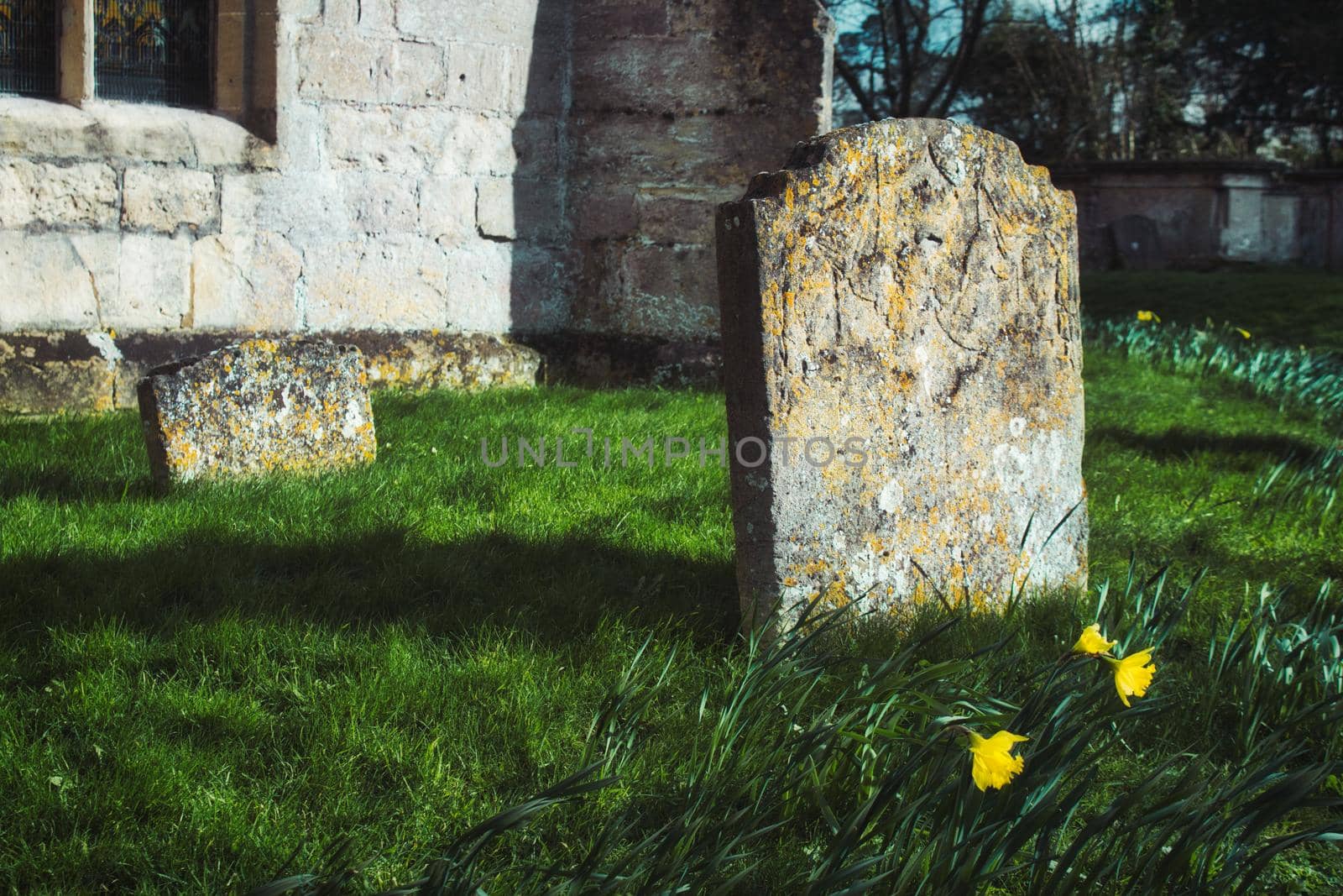 Blank gravestones in a typical churchyard in England
