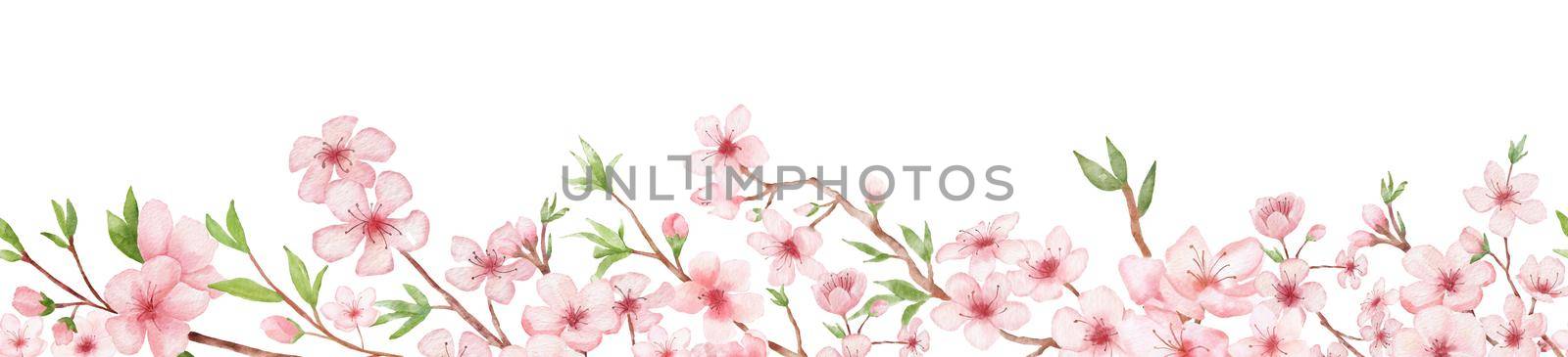 Branch of Cherry blossom watercolor seamless border on white backgraund. Japanese flowers frame. Floral pink background