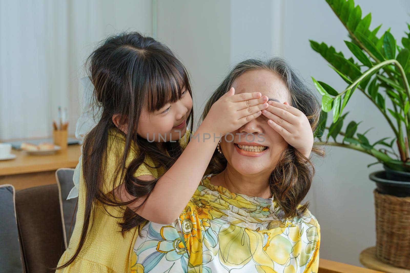 Asian portrait, grandma and granddaughter doing leisure activities and hugging to show their love and care for each other by Manastrong