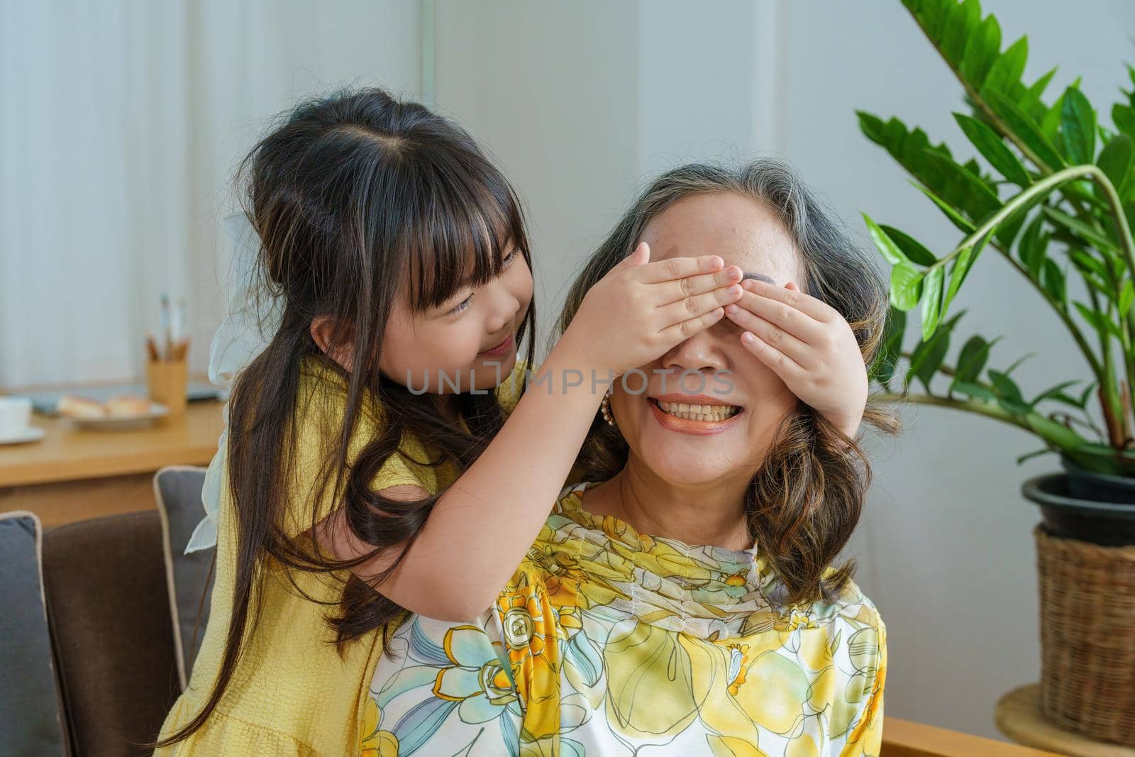 Asian portrait, grandma and granddaughter doing leisure activities and hugging to show their love and care for each other.