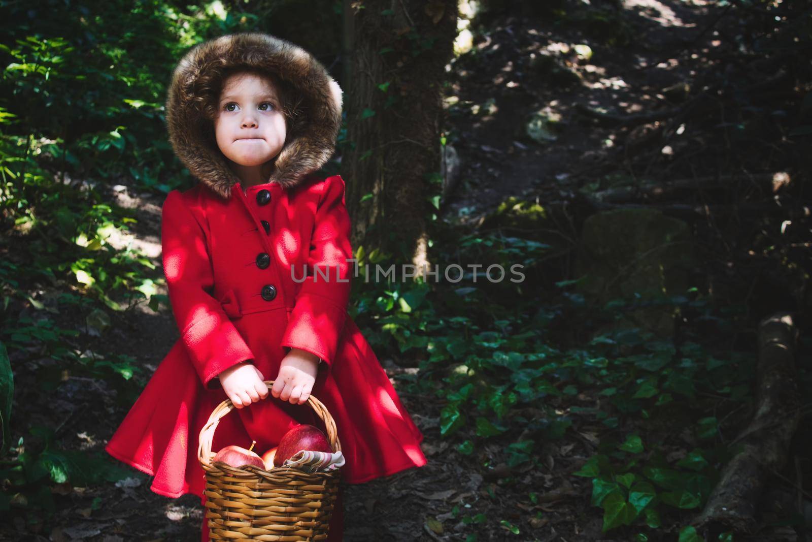 Little Red Riding Hood in a dark forest with a traditional picnic basket with copy space for text