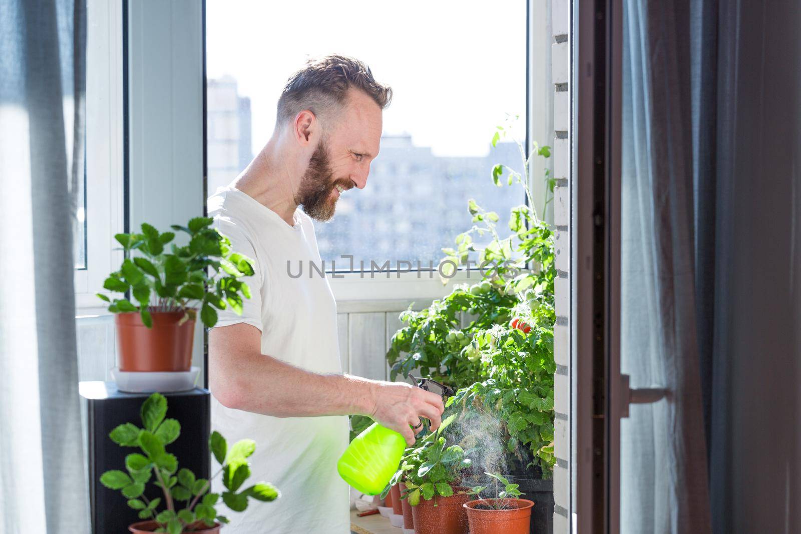 Mid adult man watering tomatoes on his city balcony garden - Nature and ecology hobby theme