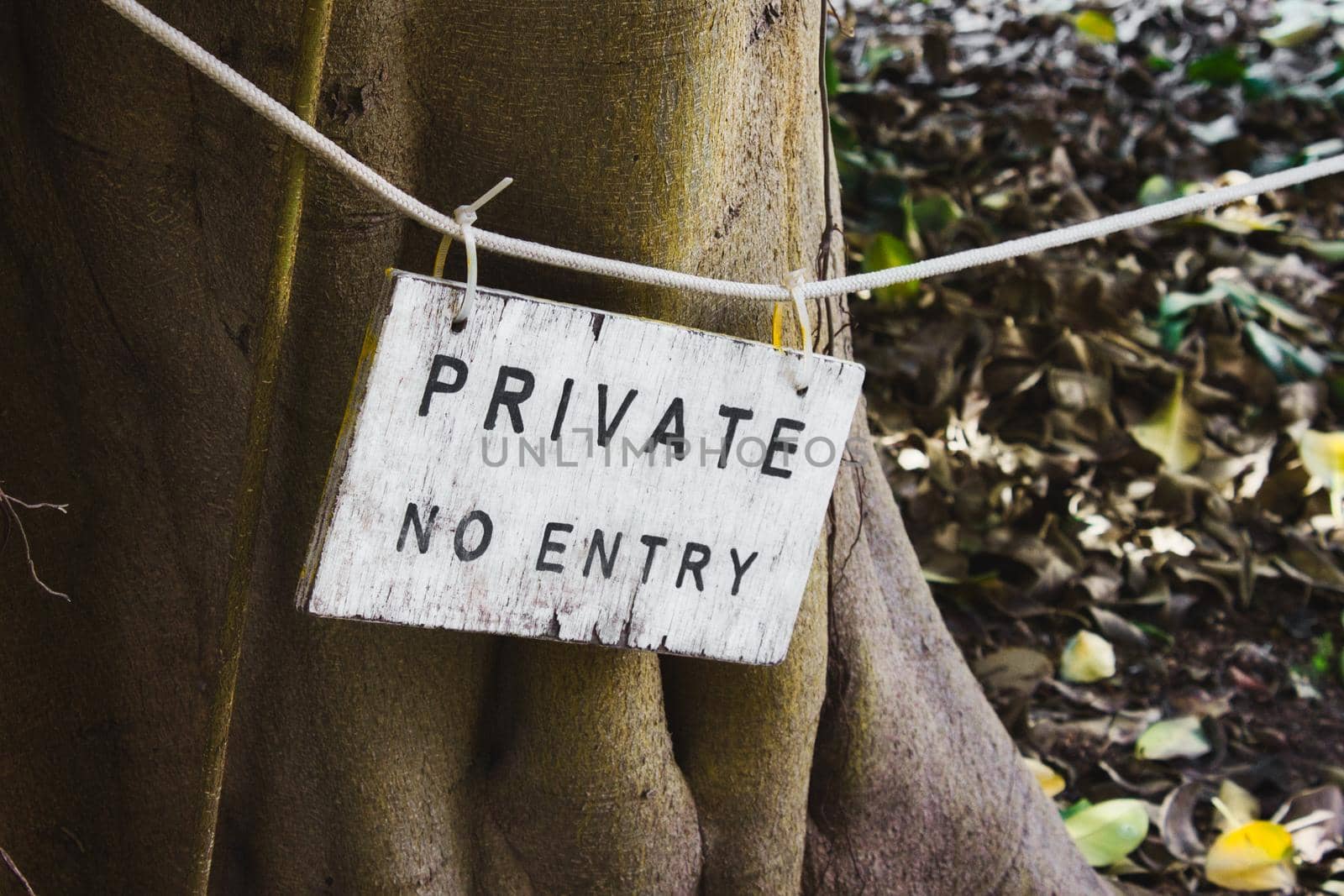 A wooden sign painted white with the words Private No Entry written by tennesseewitney