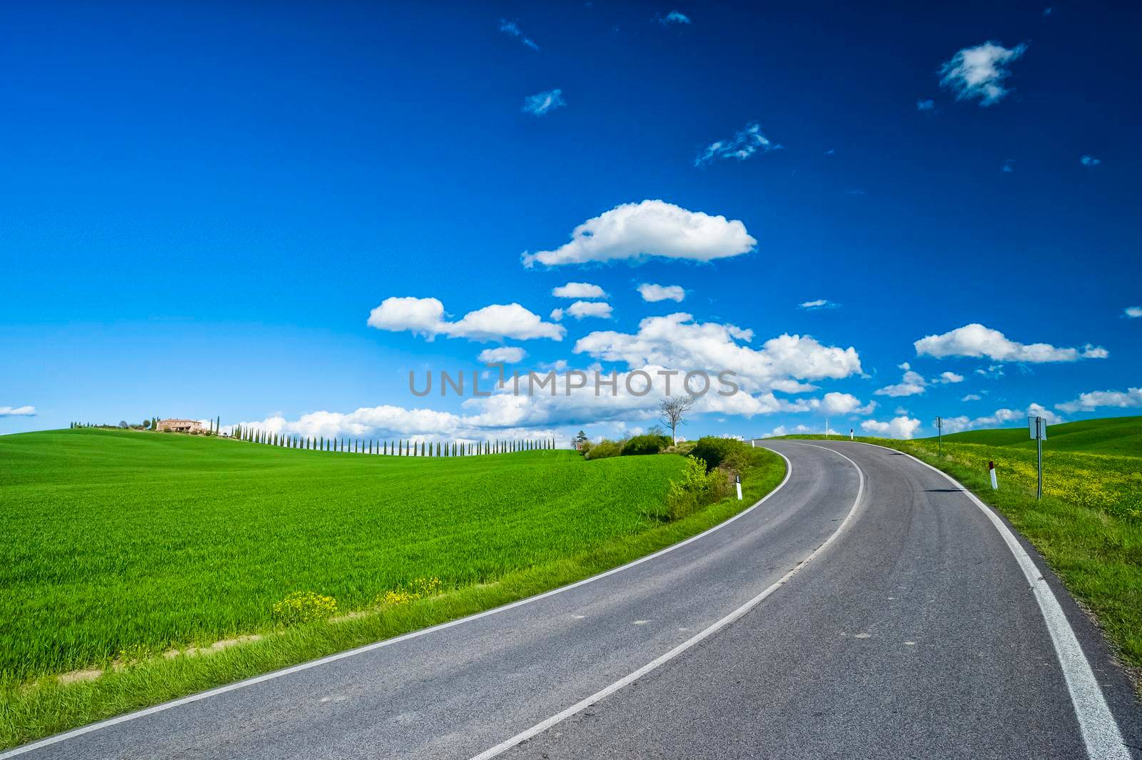 Road in the nature.