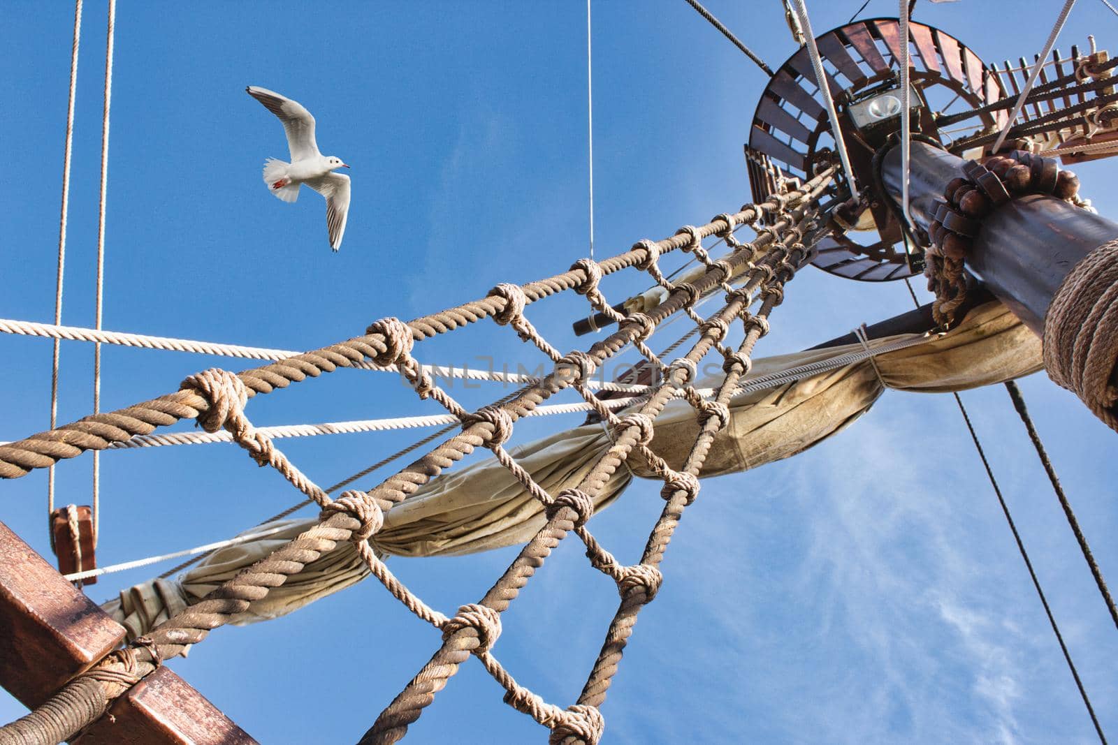 Rigging and mast of an old-fashioned sailing boat with a seagull flying against a blue sky by tennesseewitney