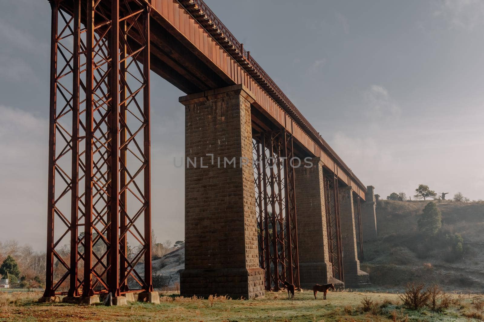 A 19th century viaduct in Taradale, Victoria, Australia on a clear spring day.