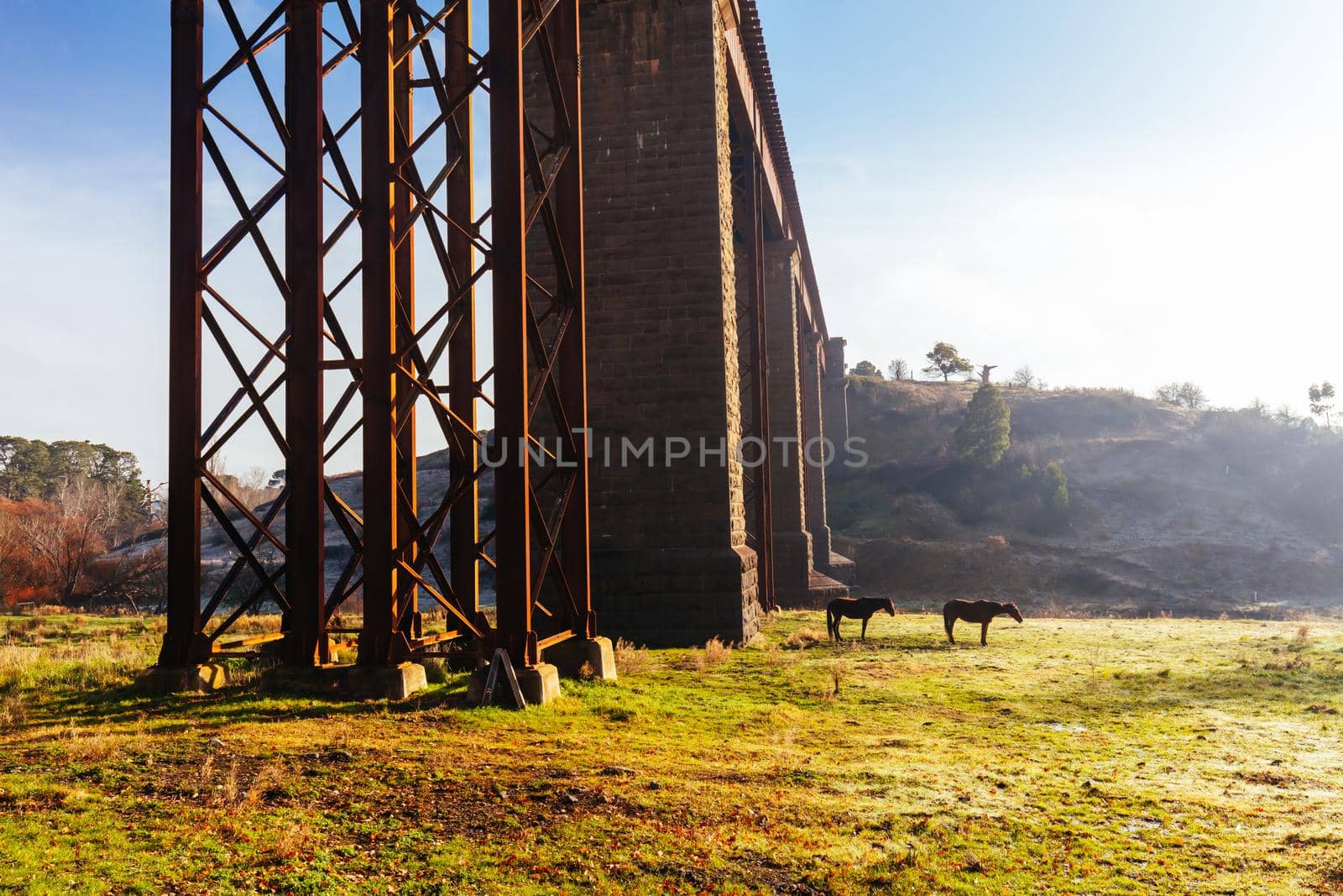 A 19th century viaduct in Taradale, Victoria, Australia on a clear spring day.