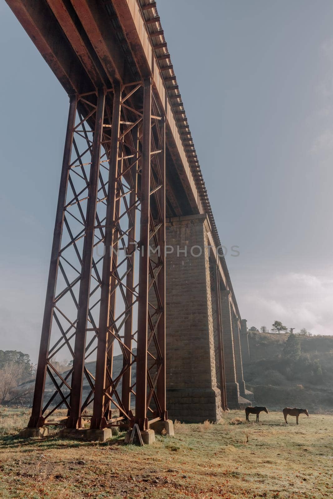 A 19th century viaduct in Taradale, Victoria, Australia on a clear spring day.